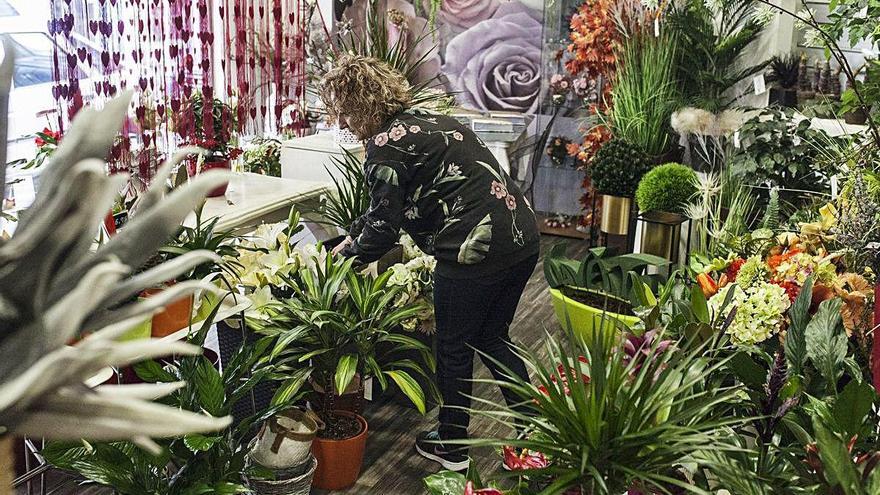 Ana ordena las plantas y las flores en su local cerrrado.