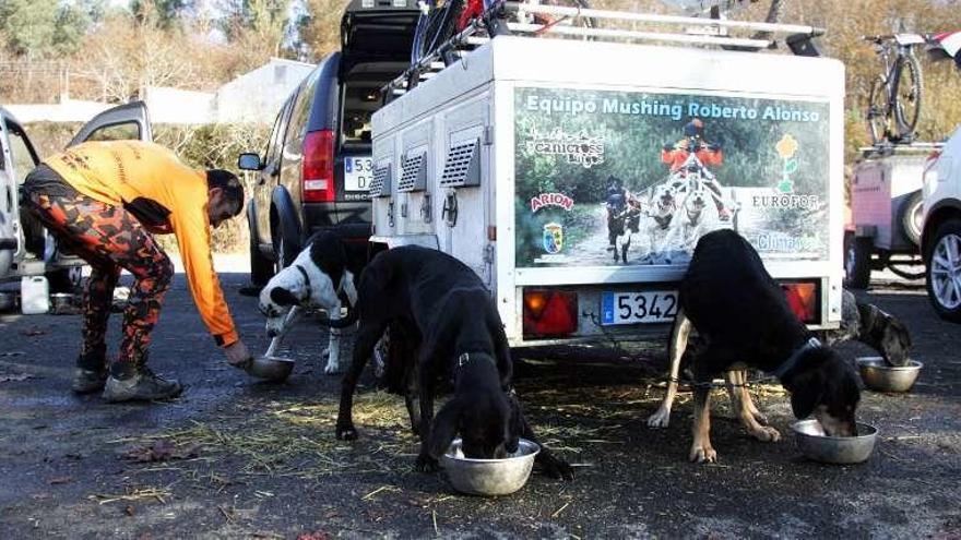 La prueba se desarrolló, con cuatro modalidades, en el entorno de la playa fluvial de Liñares. // Bernabé/Luismy