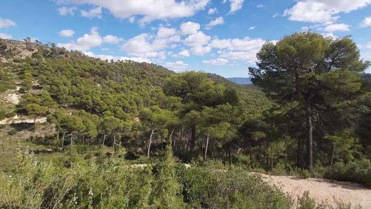 Panorámica de Sierra Espuña.