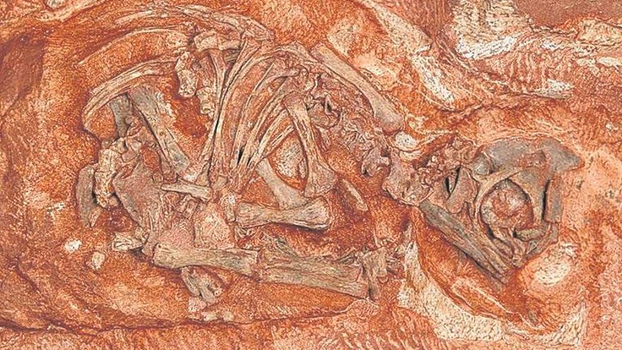 Hallan por casualidad una nueva especie de dinosaurio