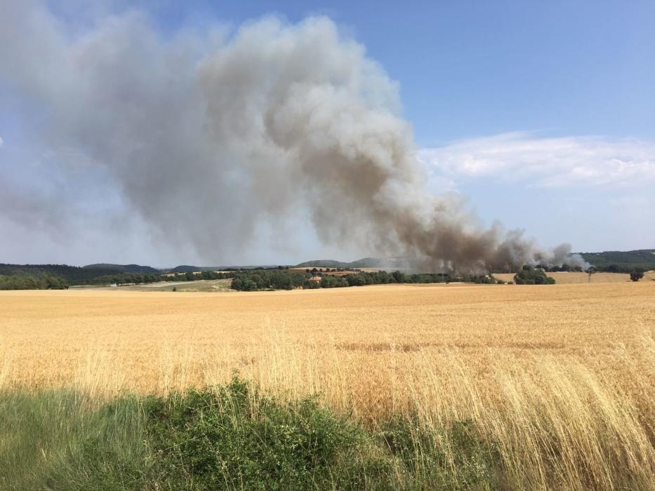 Incendi agrícola a Olius, al Solsonès