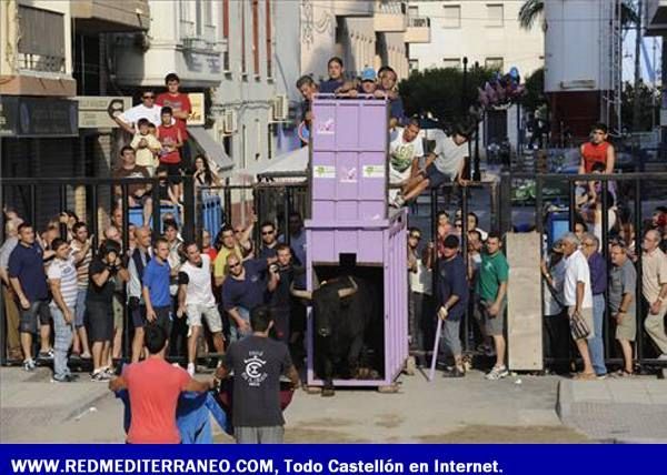 LOS TOROS ASEGURAN LA DIVERSIÓN EN LAS FIESTAS DE SANT PERE