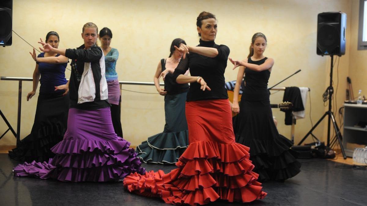 Coronavirus: Flamencas en cuarentena