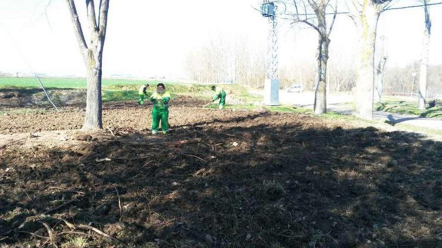 Un grupo de personas trabaja en la mejora de uno de los jardines de Villaralbo.