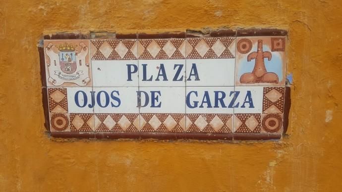 Ojos de Garza llena de basura