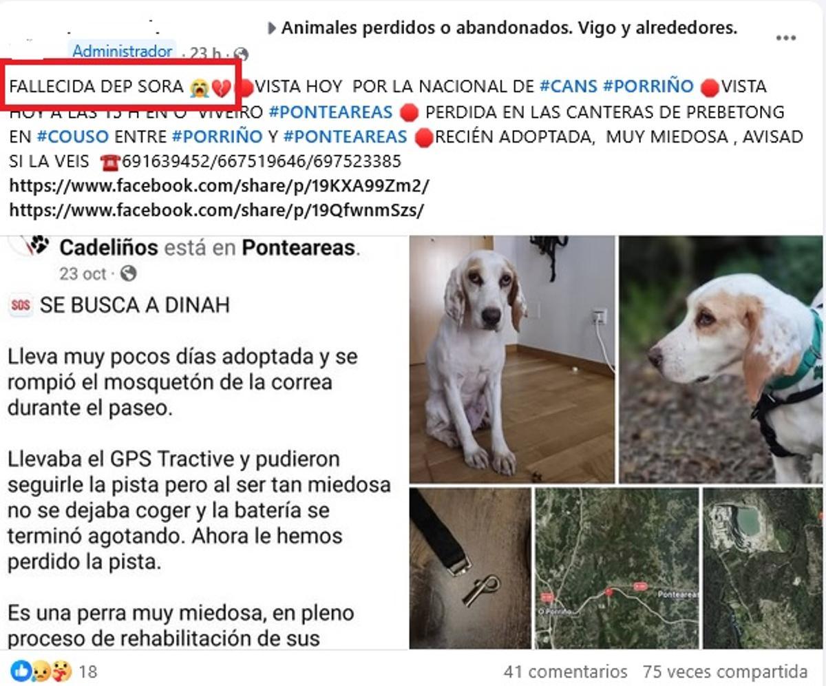 Publicación de Facebook editada este jueves con el anuncio del fallecimiento de Sora.