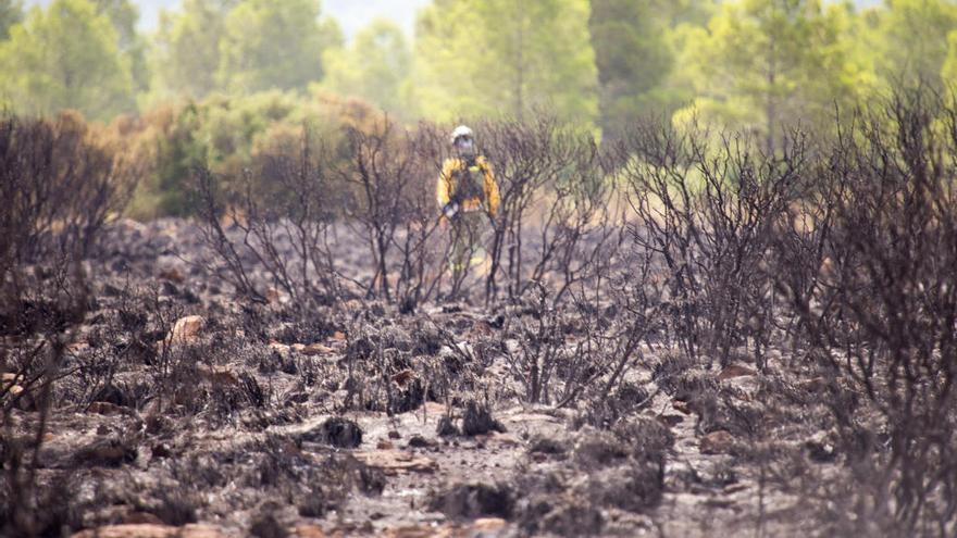 Imagen de un incendio que tuvo lugar en El Chopillo, Moratalla, el pasado año.