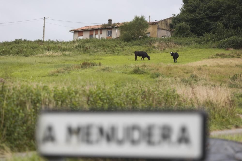 Pesadilla en la granja