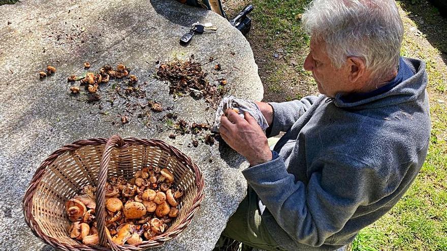 Un home netejant els bolets a Campelles, el mes passat