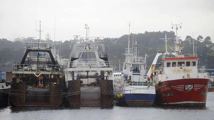 La flota coruñesa de cerco, amarrada en el Puerto de Oza.