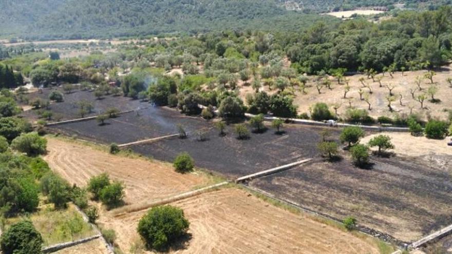 Un fuego agrícola arrasa tres hectáreas en Campanet