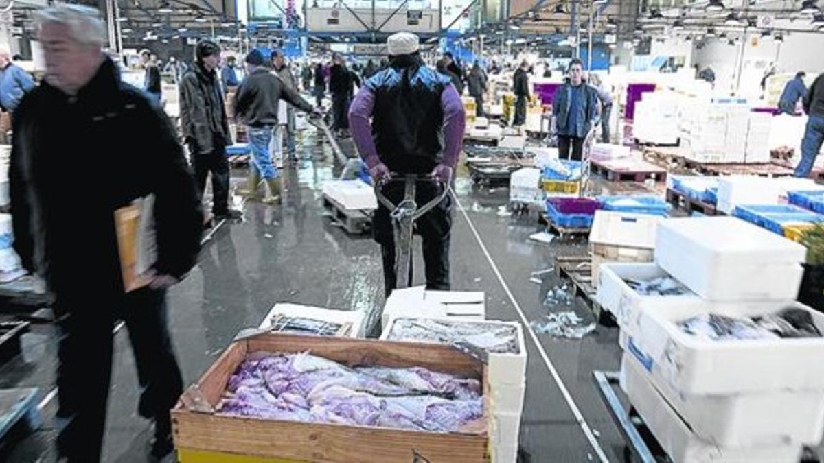 El mercado del pescado, una de las naves refrigeradas de Mercabarna.