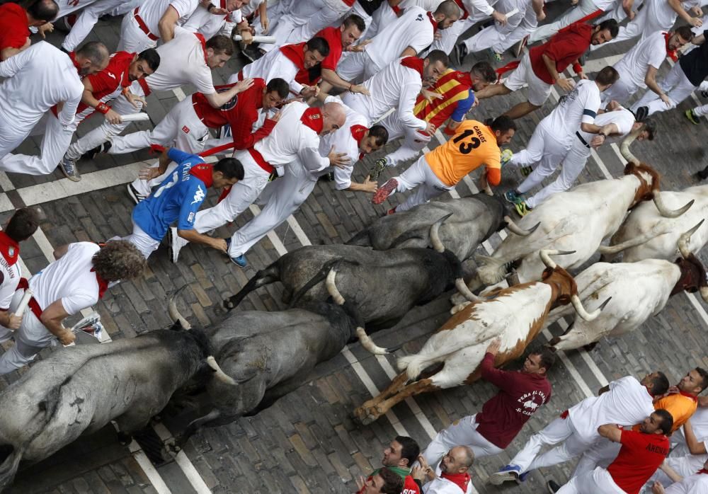 Los toros de José Escolar protagonizan el ...