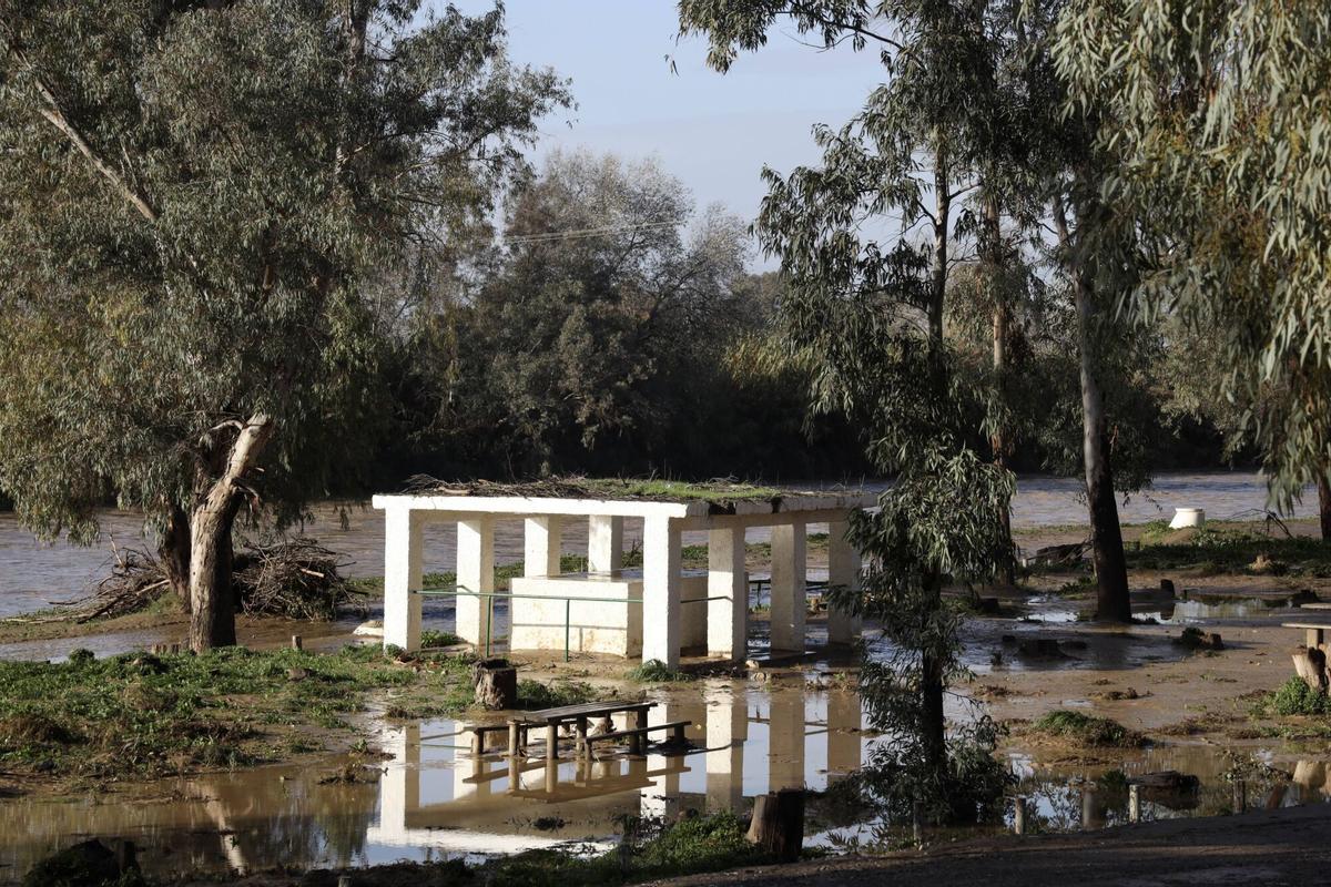 Los vecinos de la barriada de Doña Ana en la Estación de Cártama, junto al operarios Infoca, limpian los estragos de la nueva inundación provocada por la crecida del Guadalhorce durante la borrasca Francis