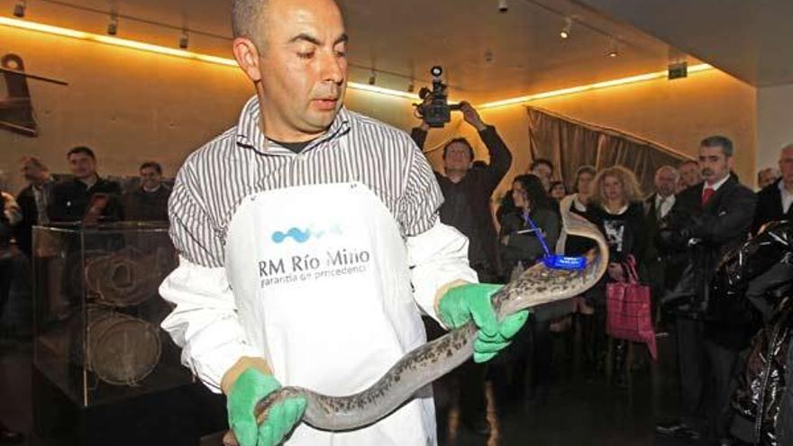 Presentación del sello de calidad de la lamprea del Miño, ayer, en el Acquamuseu de Vila Nova.  // R. Grobas