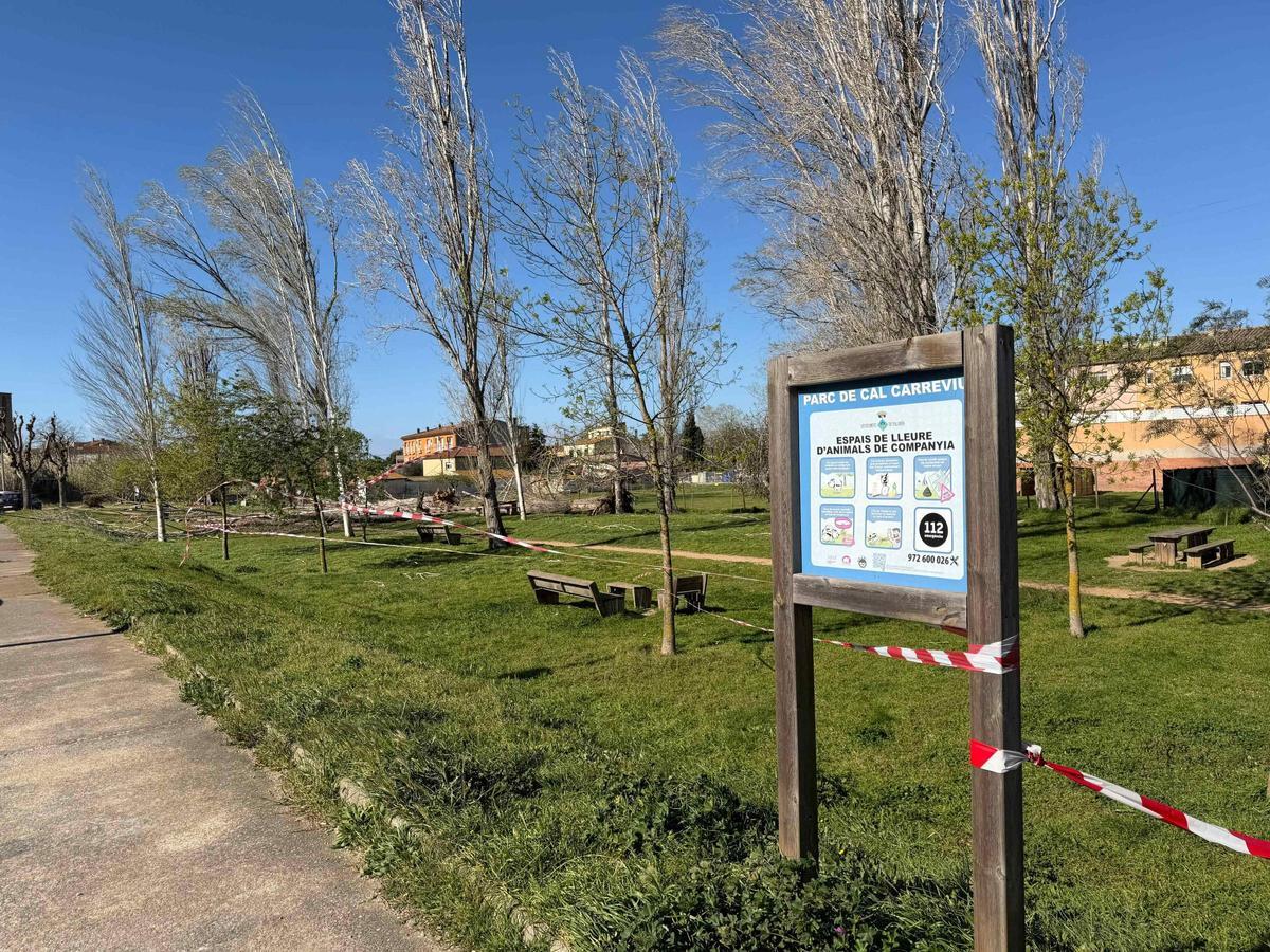 Les imatges dels efectes de la tramuntana a les comarques gironines