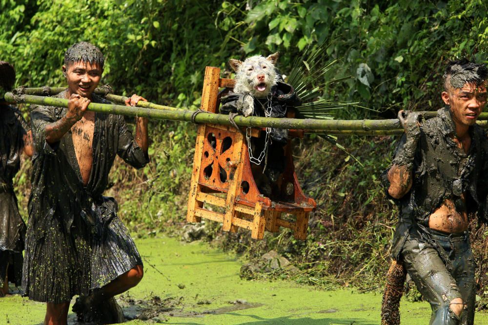 Hombres portan a un perro disfrazado como señal de respeto de la minoría étnica Miao, que creen que los perros encontraban agua para sus ancestros, en la provincia china de Guizhou.