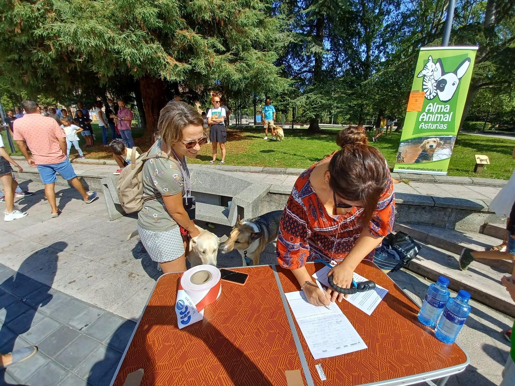 Desfile de perros en Llanera: así fue el concurso popular de canes