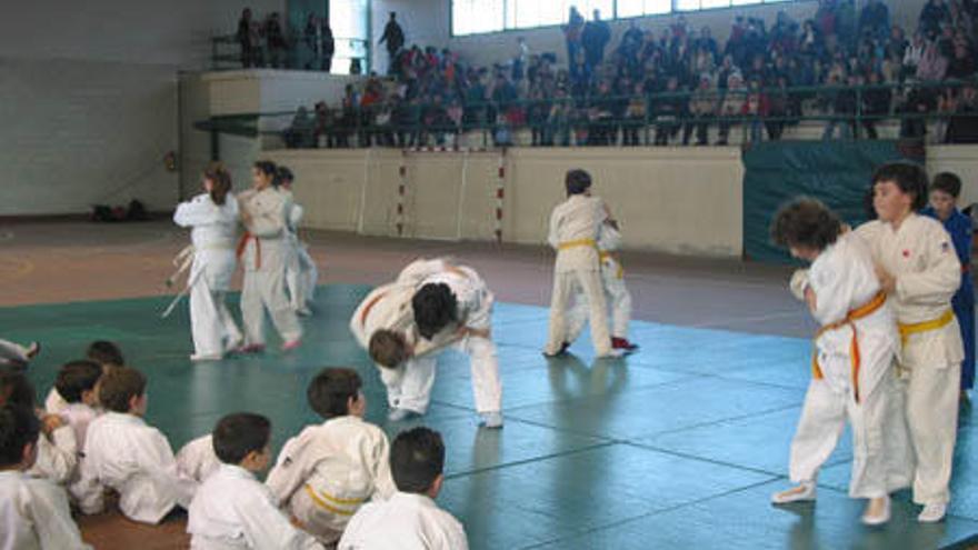 Actividad de judo en el colegio de A Rabadeira de Oleiros