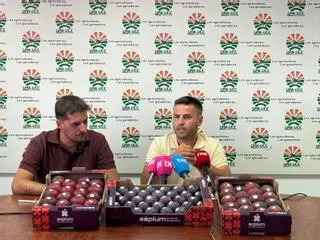 El precio de la fruta de hueso extremeña se multiplica hasta por diez del campo al supermercado