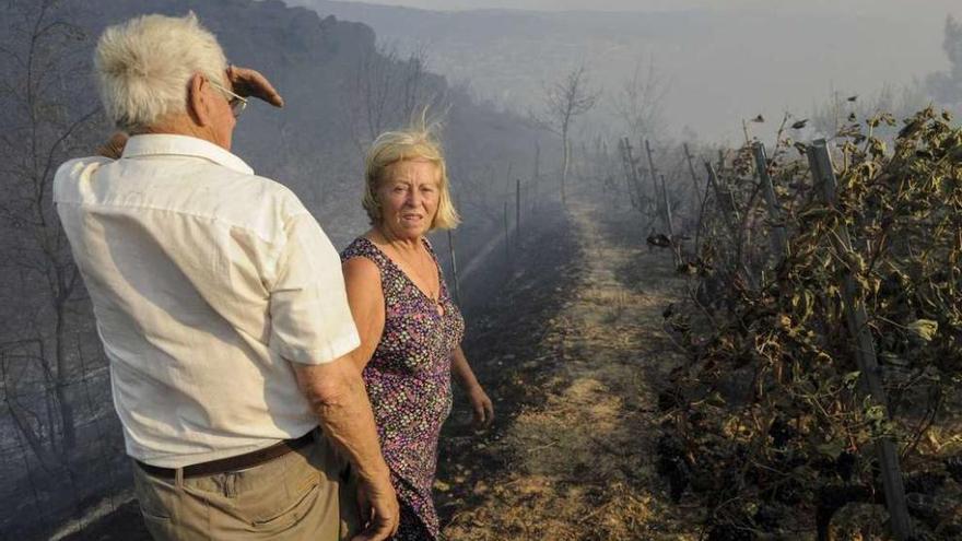 Uno de los incendios forestales que hubo durante el verano en la zona de Cudeiro. // Brais Lorenzo