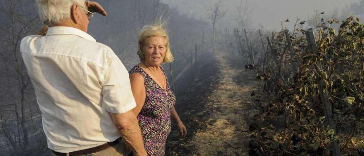 Uno de los incendios forestales que hubo durante el verano en la zona de Cudeiro. // Brais Lorenzo