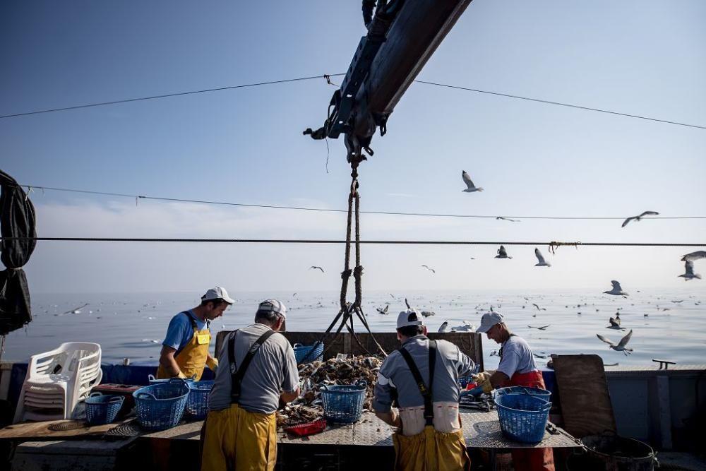 Pescadores de la Región extrajeron 5,6 toneladas de basura del mar en 2019