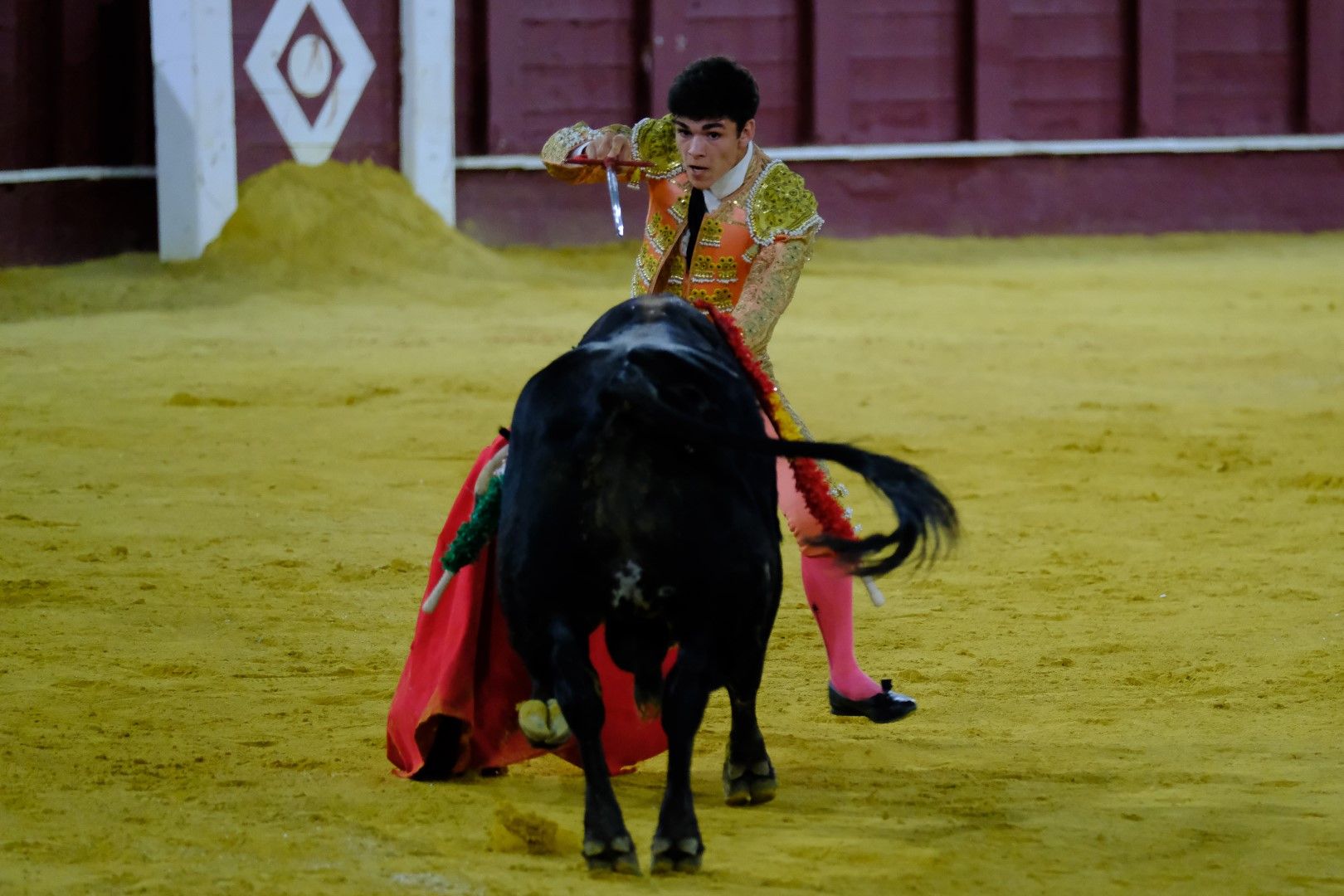 XVI Certamen Internacional de Escuelas Taurinas La Malagueta