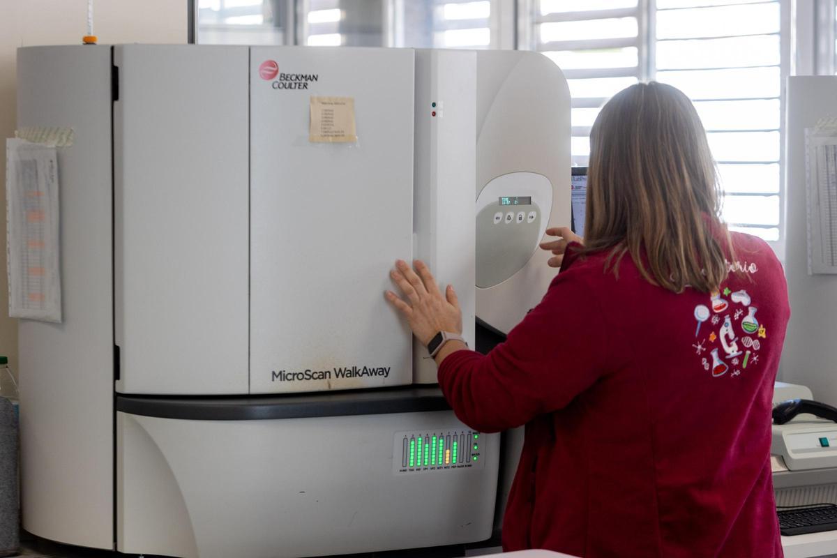 Investigación en virus y bacterias Investigación en virus y bacterias