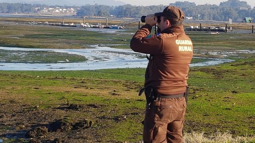 Un guardapescas de la cofradía de pescadores de O Grove.