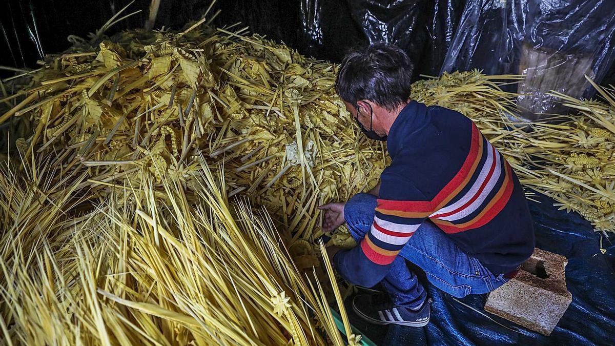 Artesanos de la palma blanca trabajando esta semana en encargos para el Domingo de Ramos. | ANTONIO AMORÓS