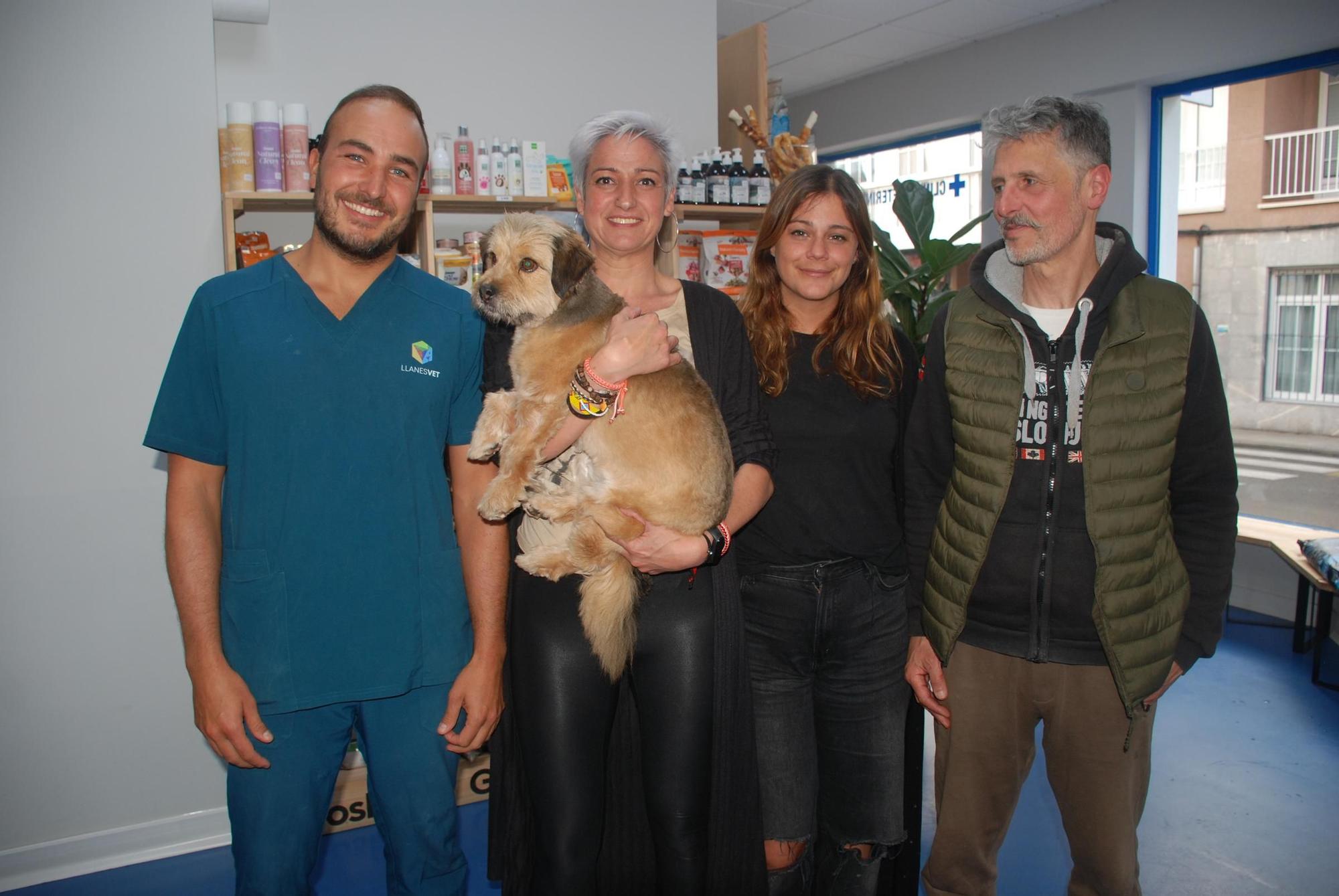 El reencuentro del perro que cayó al mar desde 30 metros con su dueña y el bombero que lo rescató