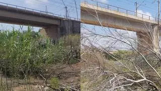 Recuperan el paisaje del río Mijares abatido por los incendios de febrero y marzo