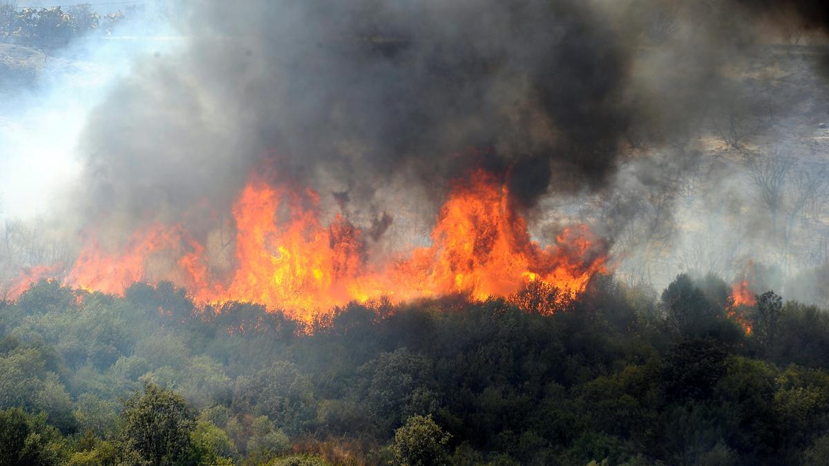 El Mediterrani: una història inèdita sobre clima, amenaces i esperances