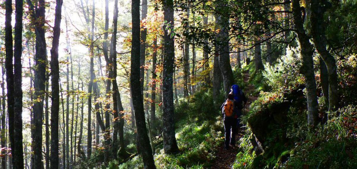 Cangas del Narcea, un auténtico paraíso por descubrir