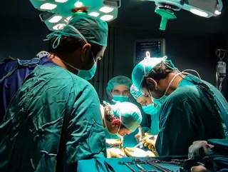 España revalida su liderazgo mundial en donación de órganos con 2.562 donantes tras muerte, el 5% global