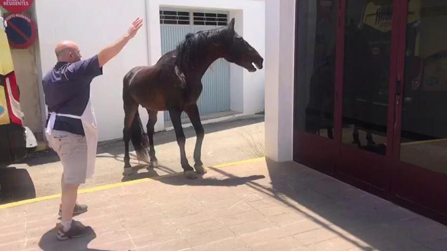 Un caballo se escapa en Benitatxell y recorre al galope el Carrer Major