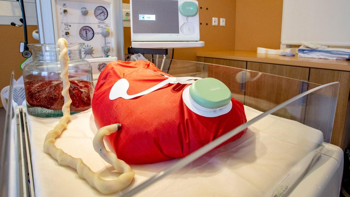 Proyecto de utero artificial presentado por la Universidad Tecnológica de Eindhoven.