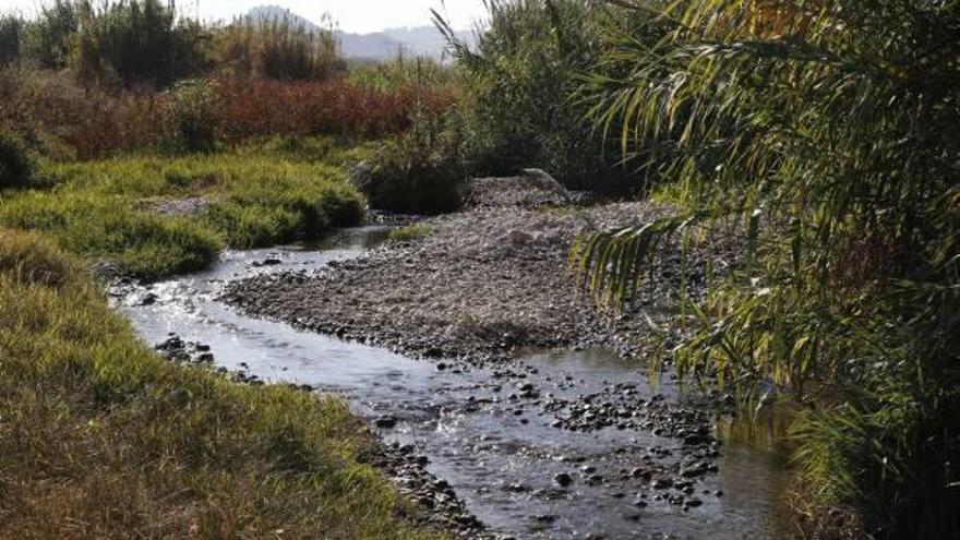 Cauce del río Albaida a su paso por Villanueva de Castellón donde el viernes se apreciaba una pequeño hilo de agua.