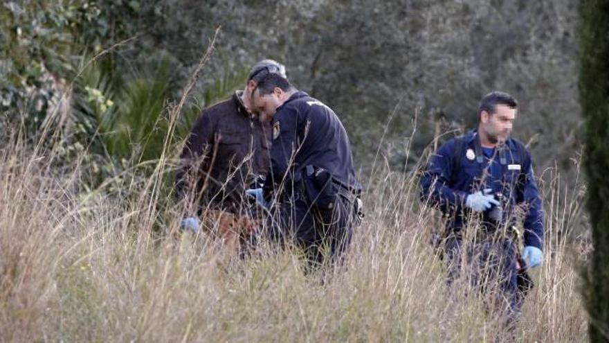 Encuentran los restos de un cuerpo humano en un campo abandonado frente al hospital de Alzira