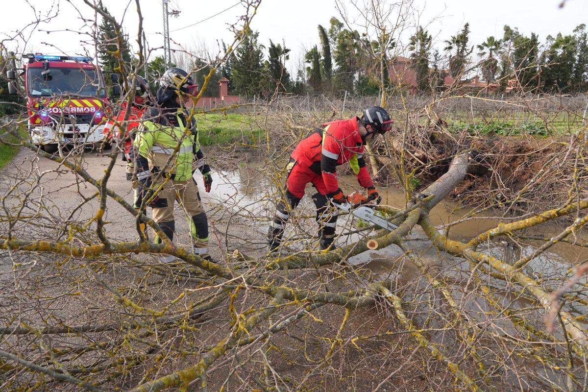 Incidencias en Casas aisladas de Gévora esta mañana.