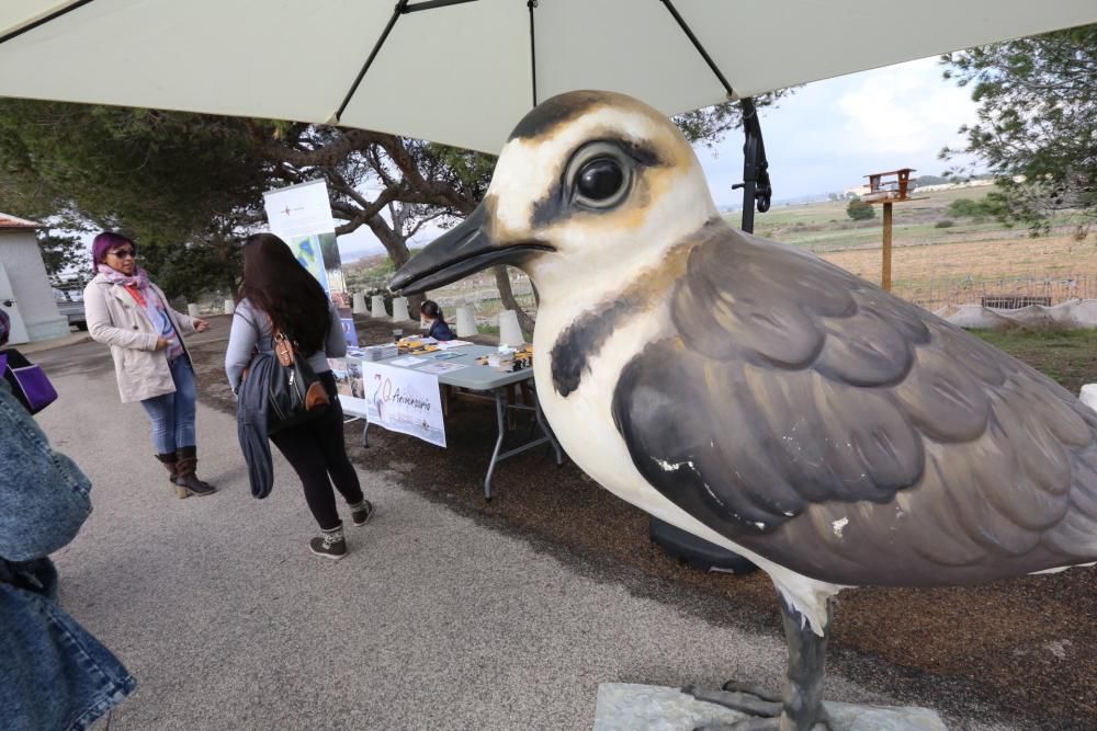 Aniversario parque natural Torrevieja