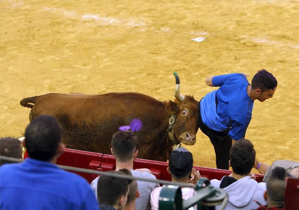 Mejores momentos de las Vaquillas