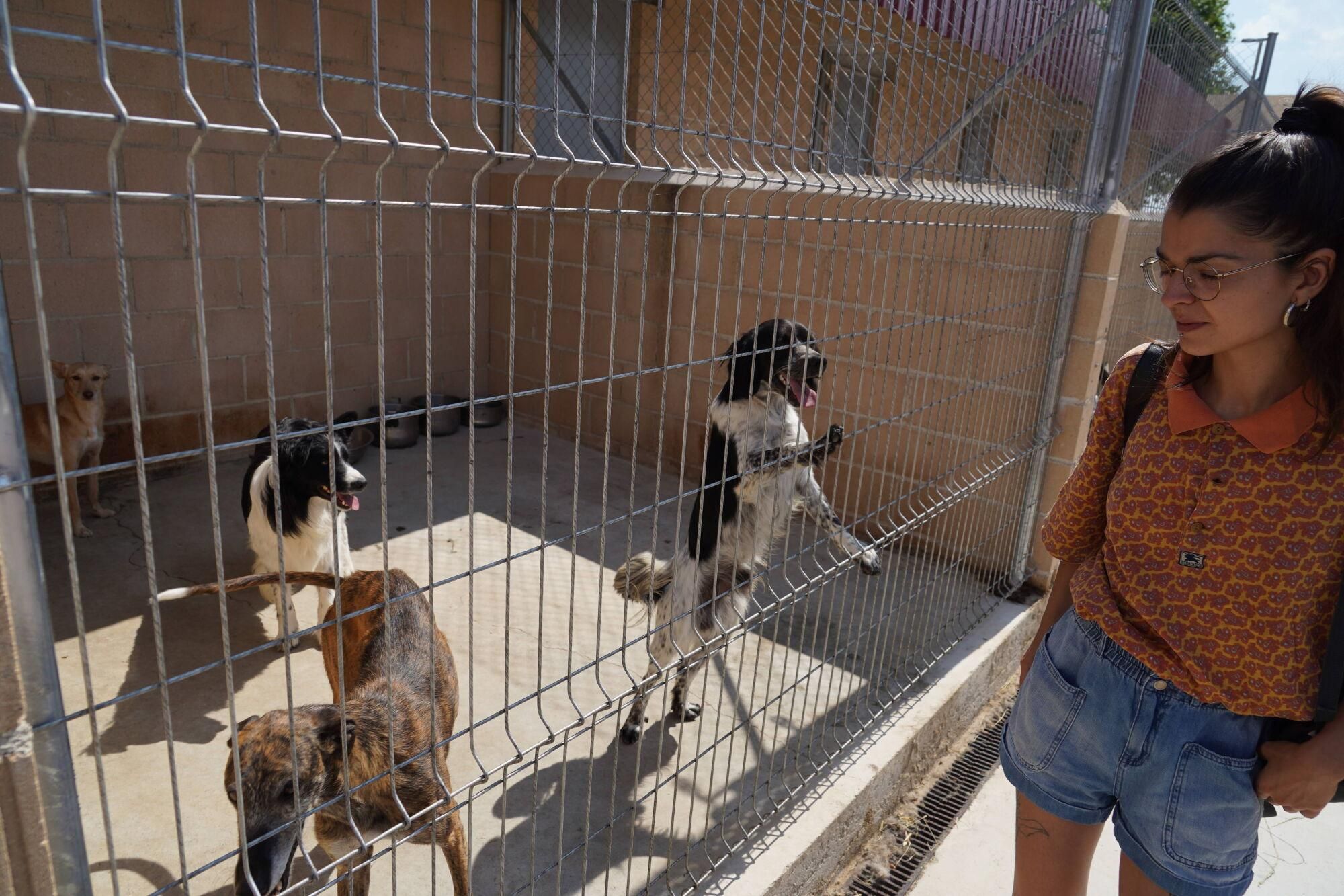 Visita a las instalaciones del nuevo Centro de Protección Animal