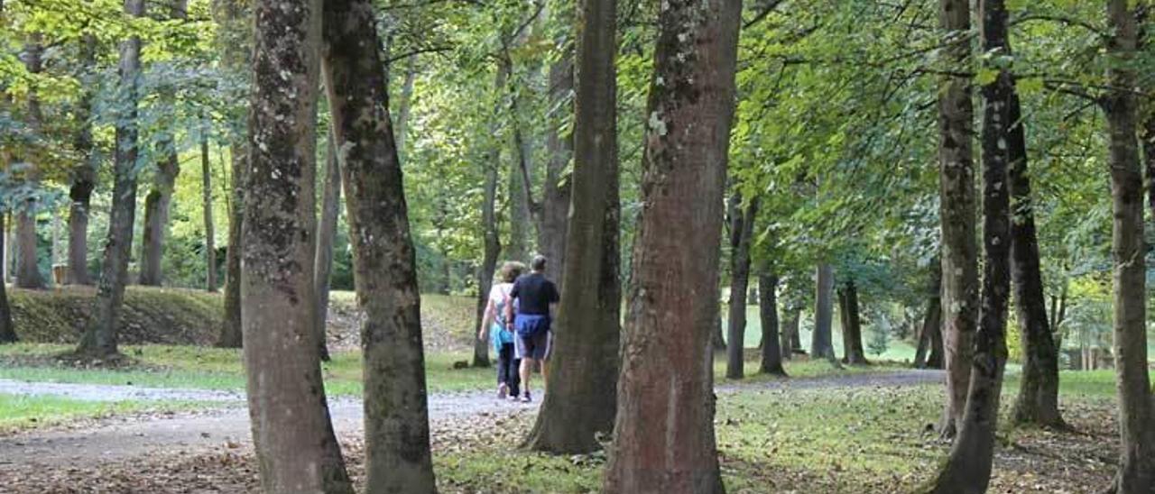 Paseantes caminando, ayer, entre los árboles del parque.