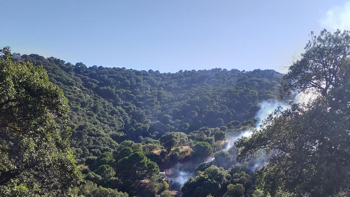 El fuego se produjo por una quema de rastrojos que el viento arrastró.