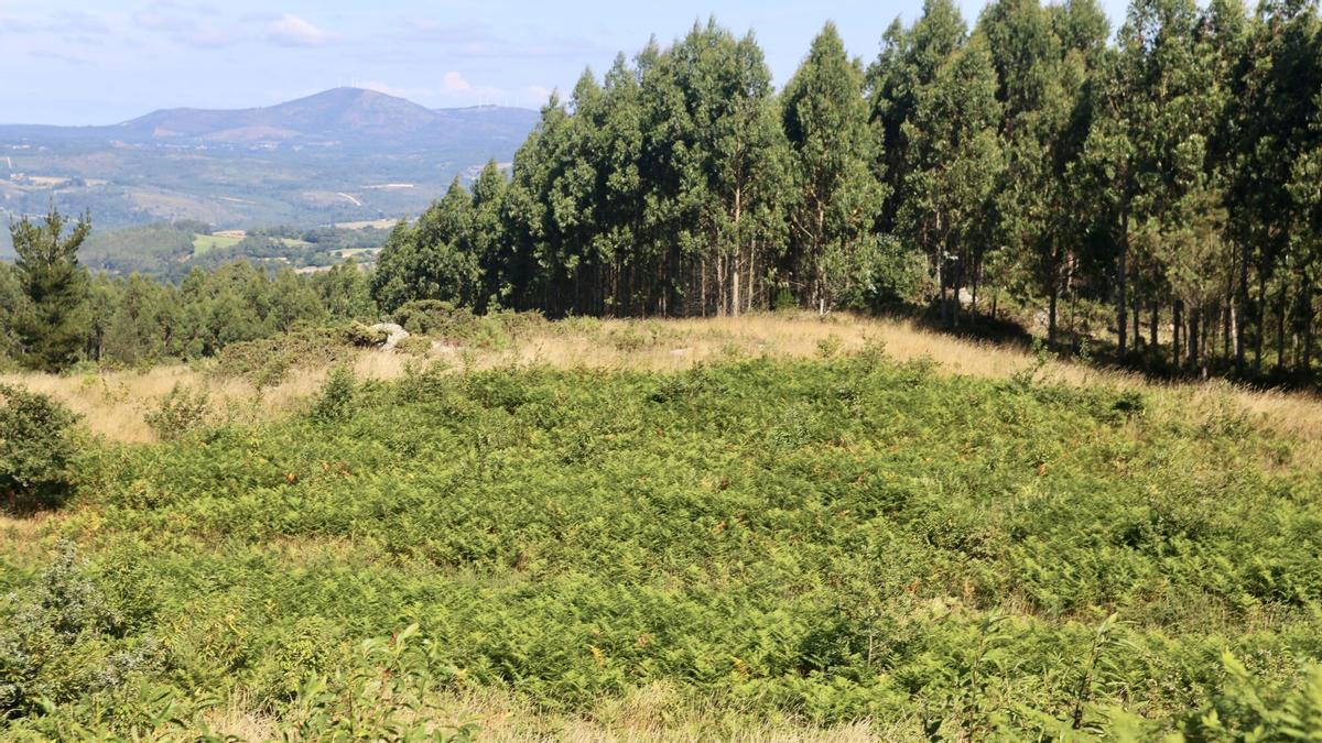 Una vista del Monte do Carrio.