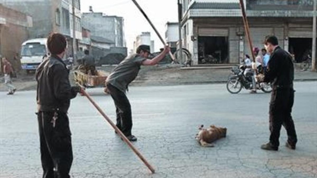 Tres hombres matan a un perro a palos en una calle de Yunnan, en abril del 2006.