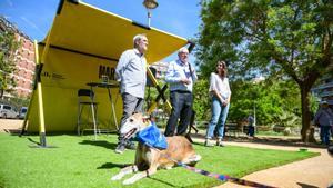 Maragall es compromet a crear una regidoria de drets i benestar dels animals si és alcalde