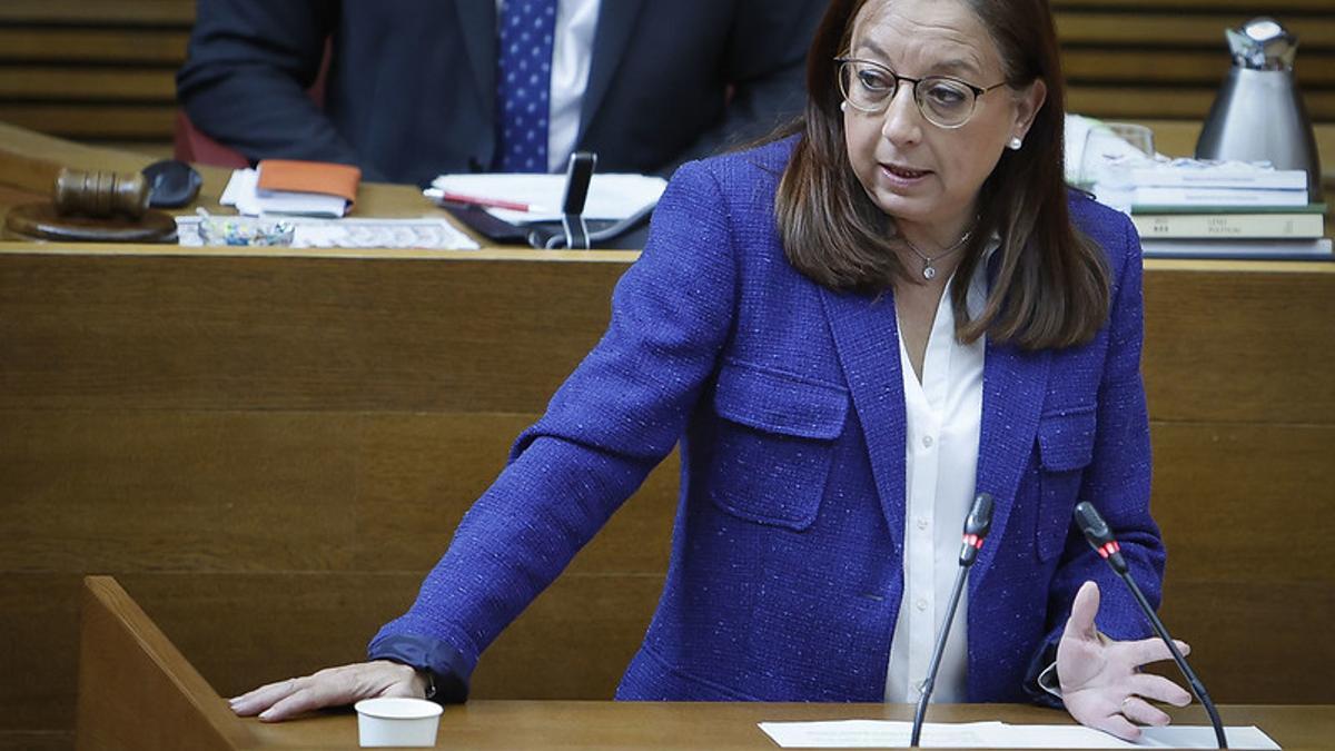 La diputada de Vox en las Corts, Llanos Massó